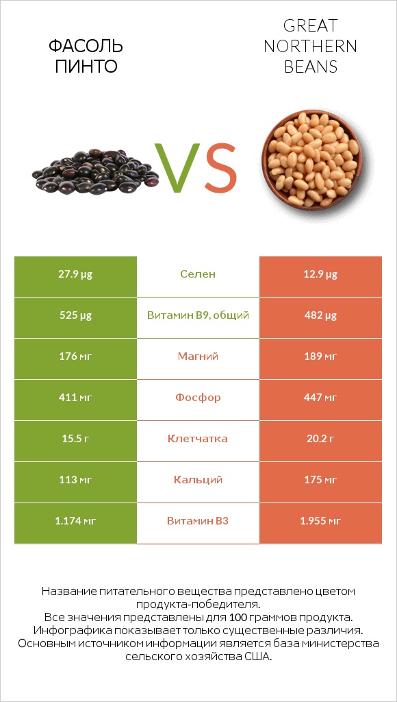 Фасоль пинто vs Great northern beans infographic