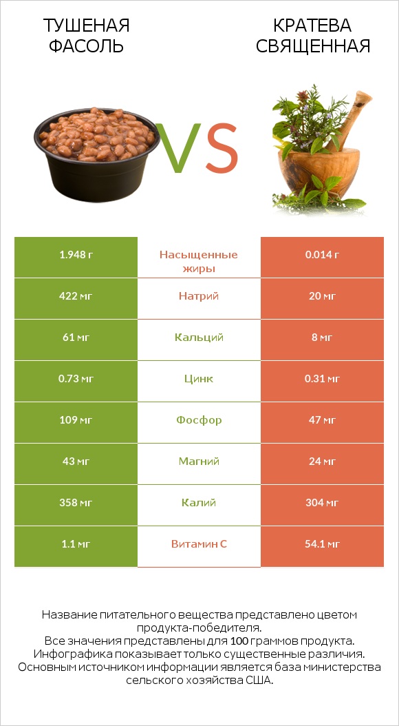 Тушеная фасоль vs Кратева священная infographic