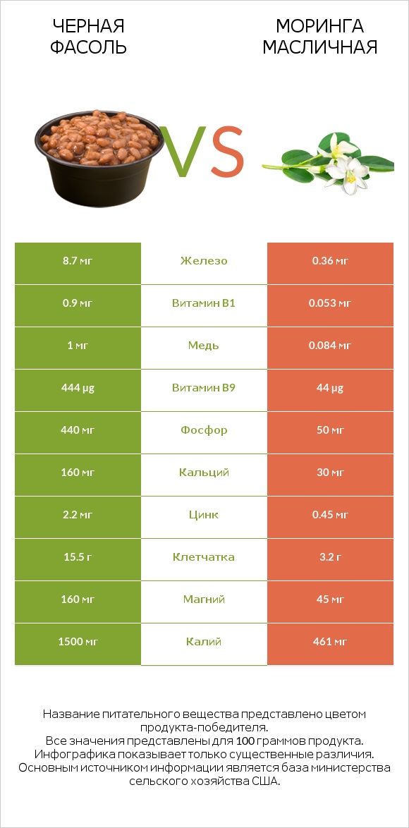 Черная фасоль vs Моринга масличная infographic