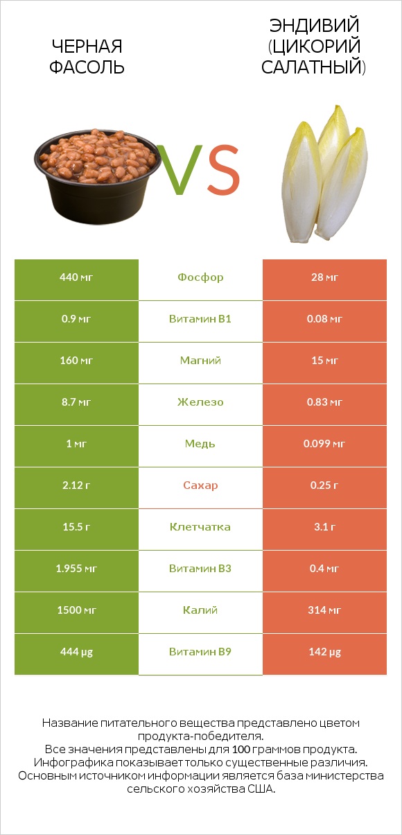 Черная фасоль vs Эндивий (Цикорий салатный)  infographic