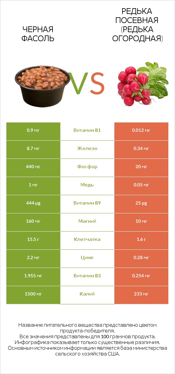 Черная фасоль vs Редька посевная (Редька огородная) infographic