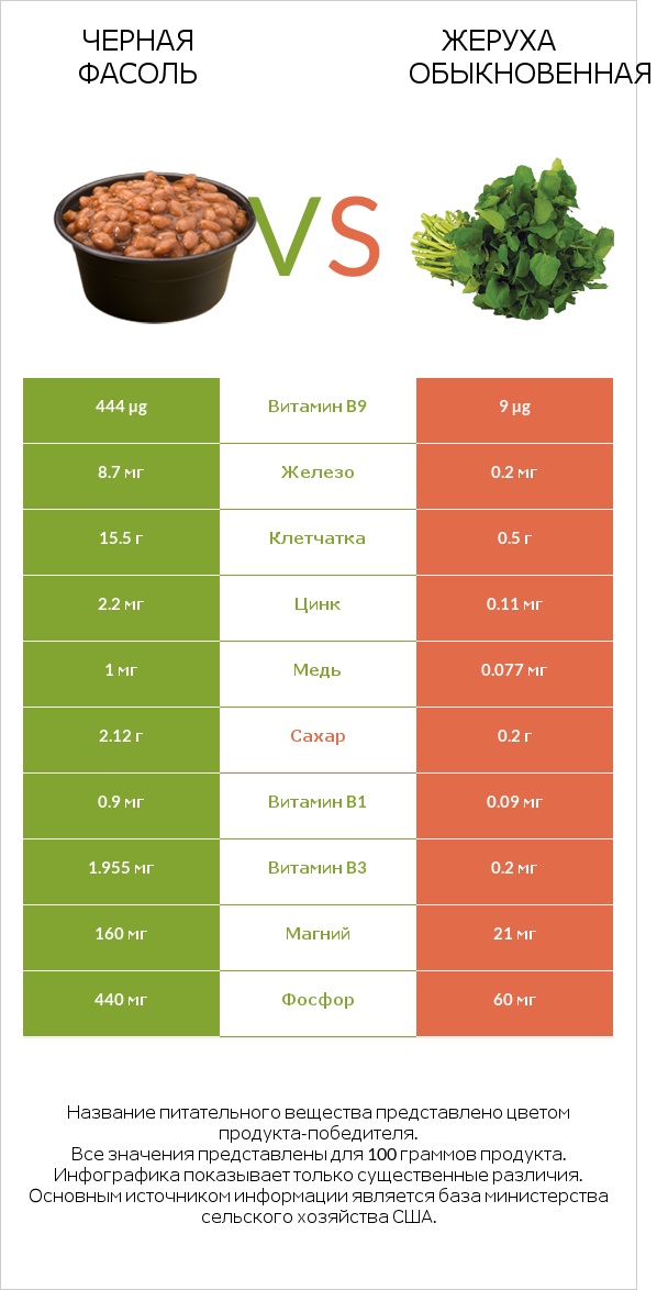 Черная фасоль vs Жеруха обыкновенная infographic