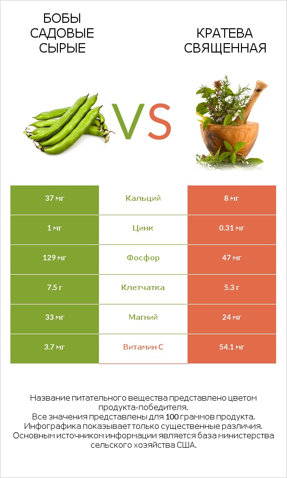 Бобы садовые сырые vs Кратева священная infographic