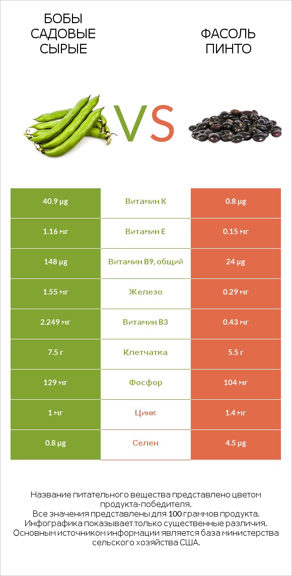 Бобы садовые сырые vs Фасоль пинто infographic