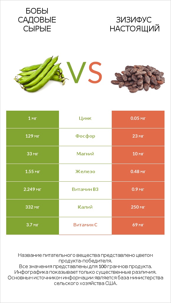 Бобы садовые сырые vs Зизифус настоящий infographic