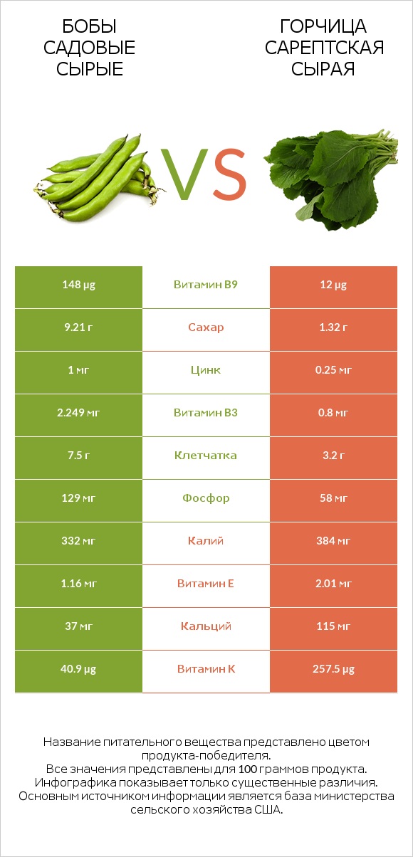 Бобы садовые сырые vs Горчица сарептская сырая infographic