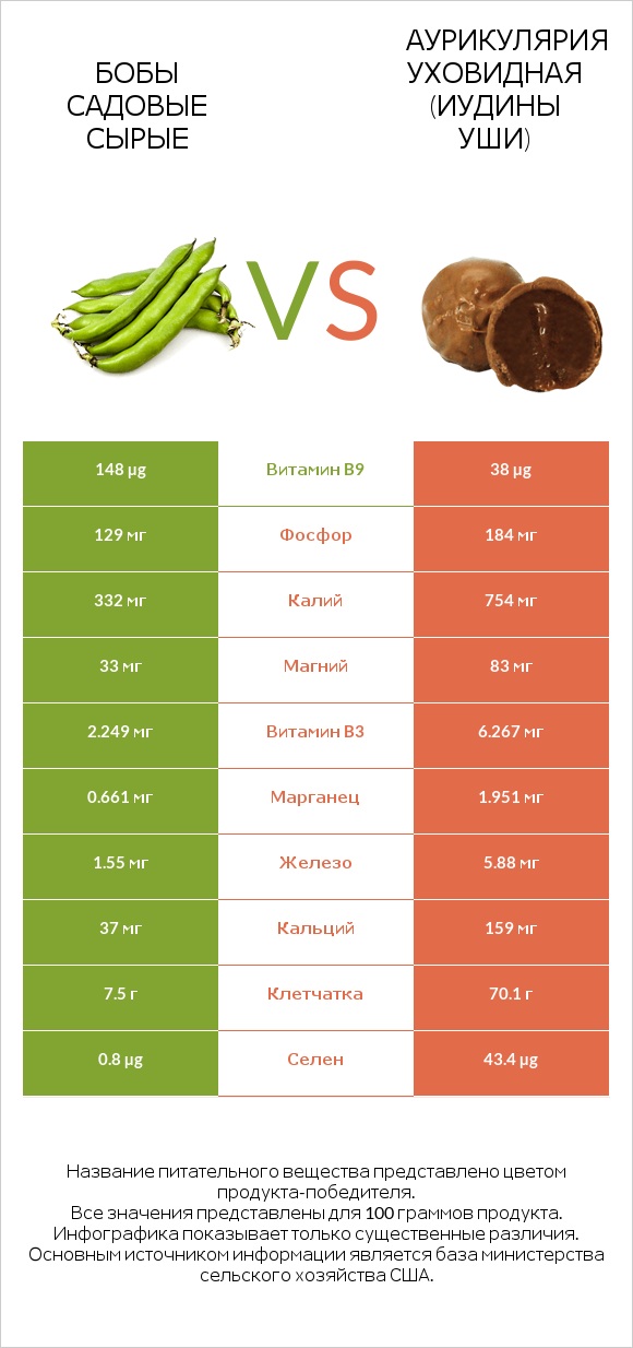 Бобы садовые сырые vs Аурикулярия уховидная (Иудины уши) infographic