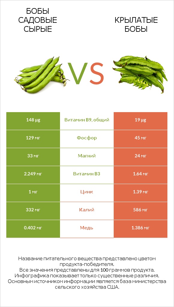 Бобы садовые сырые vs Крылатые бобы infographic