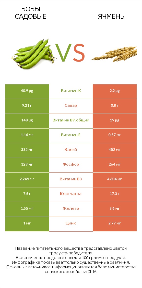 Бобы садовые vs Ячмень infographic