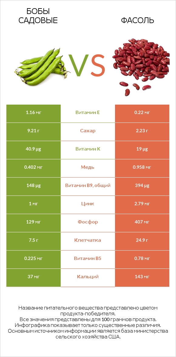 Бобы садовые vs Фасоль infographic