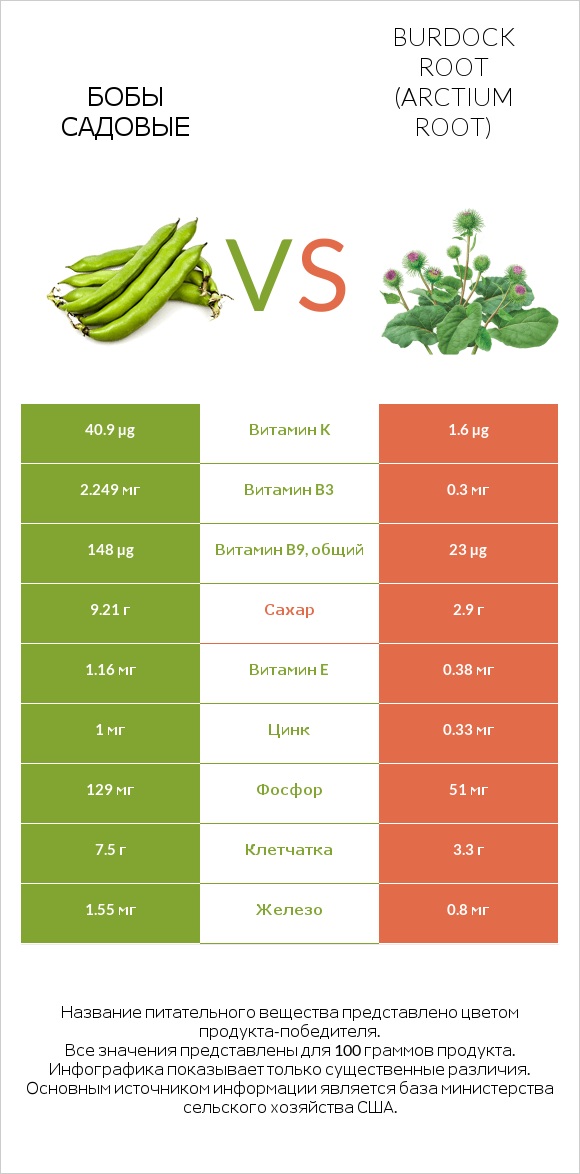 Бобы садовые vs Burdock root infographic