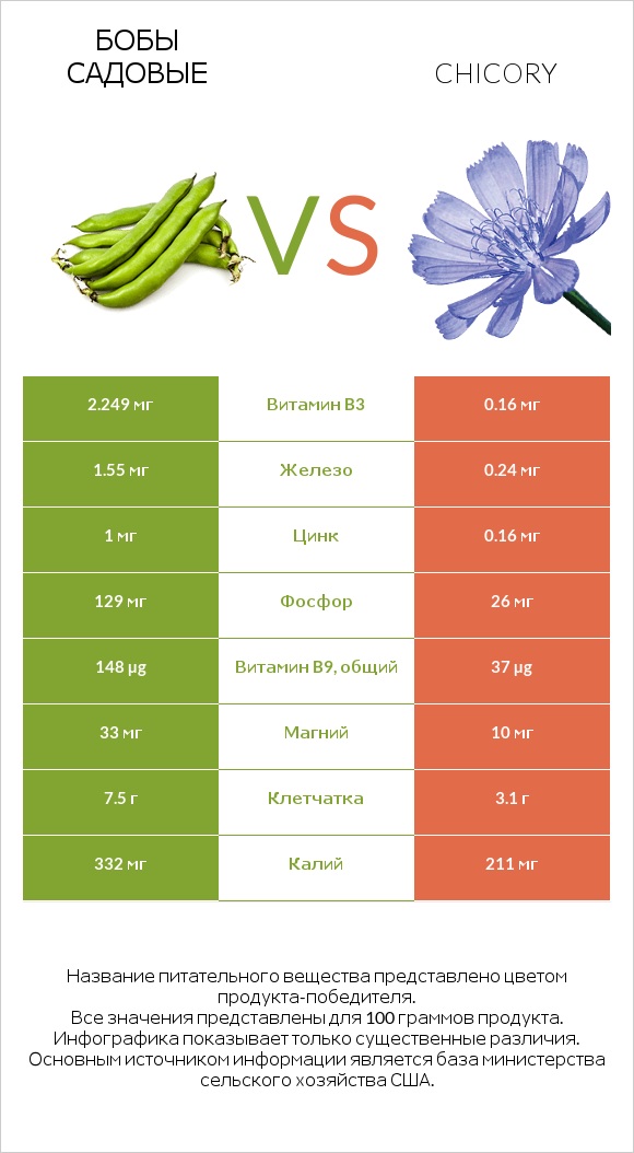 Бобы садовые vs Chicory infographic
