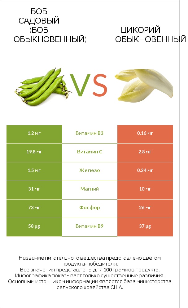 Бобы садовые vs Chicory infographic