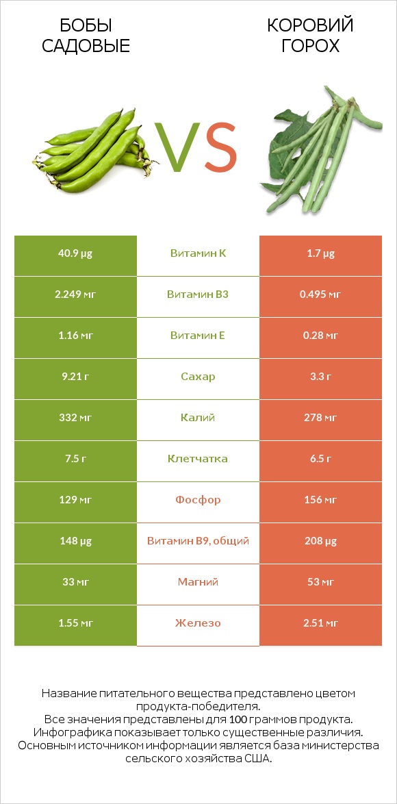 Бобы садовые vs Коровий горох infographic