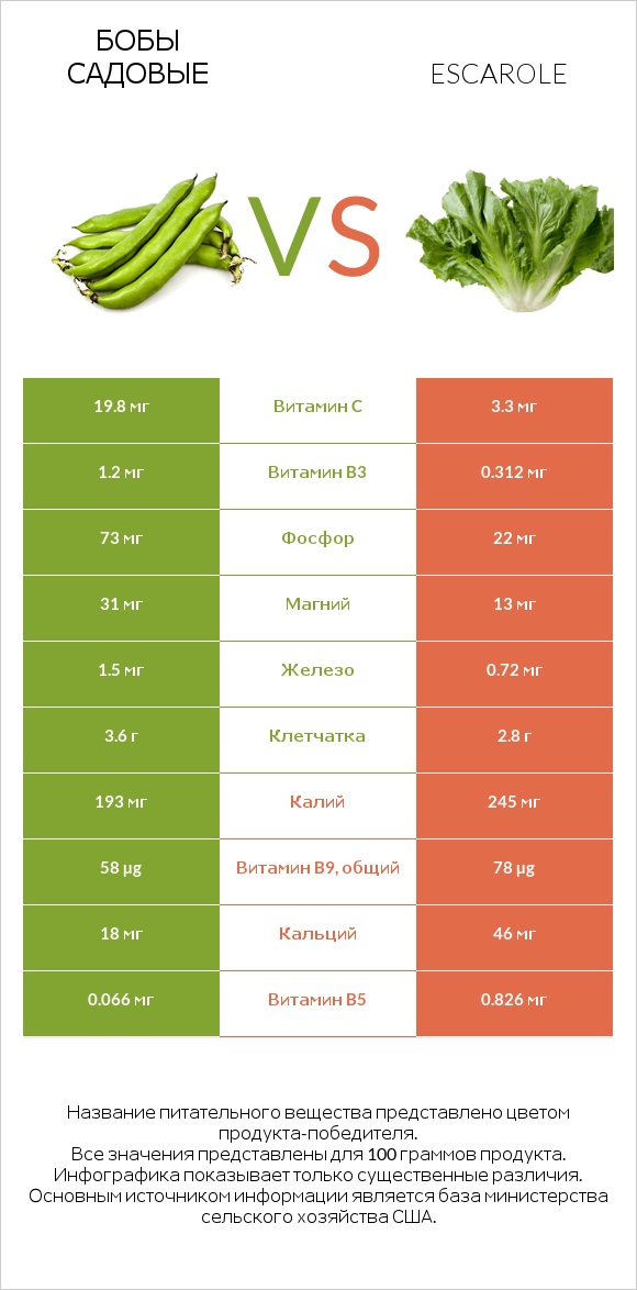 Бобы садовые vs Escarole infographic