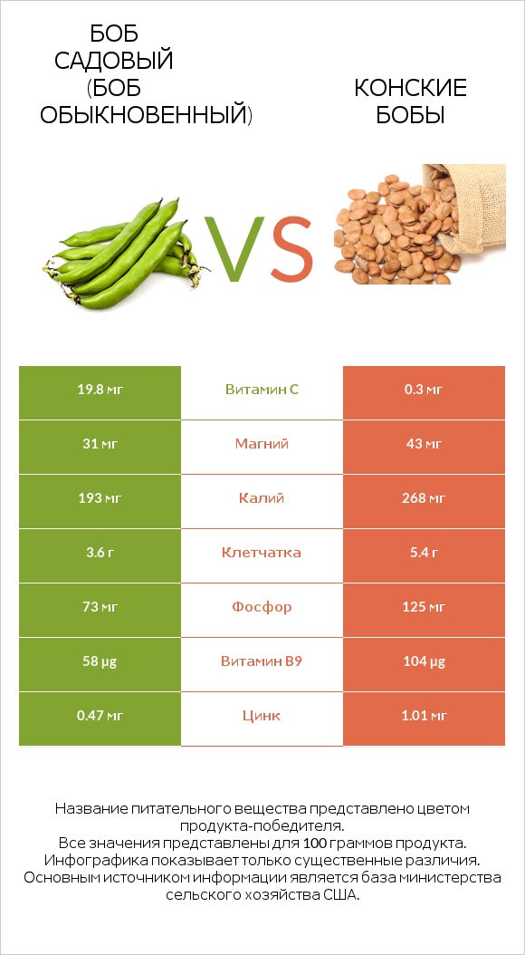 Боб садовый (Боб обыкновенный) vs Конские бобы infographic