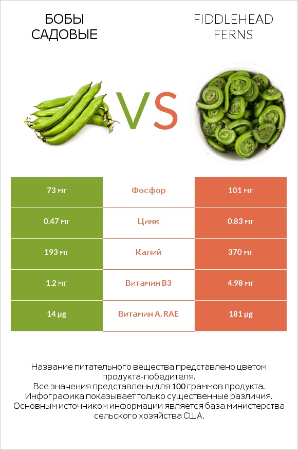 Бобы садовые vs Fiddlehead ferns infographic