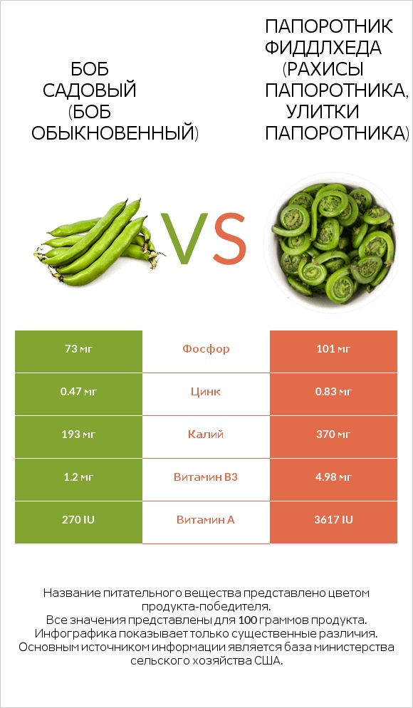 Бобы садовые vs Fiddlehead ferns infographic