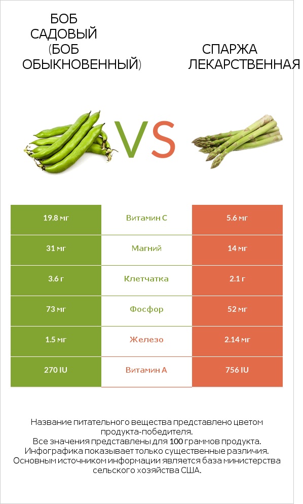 Боб садовый (Боб обыкновенный) vs Спаржа лекарственная infographic