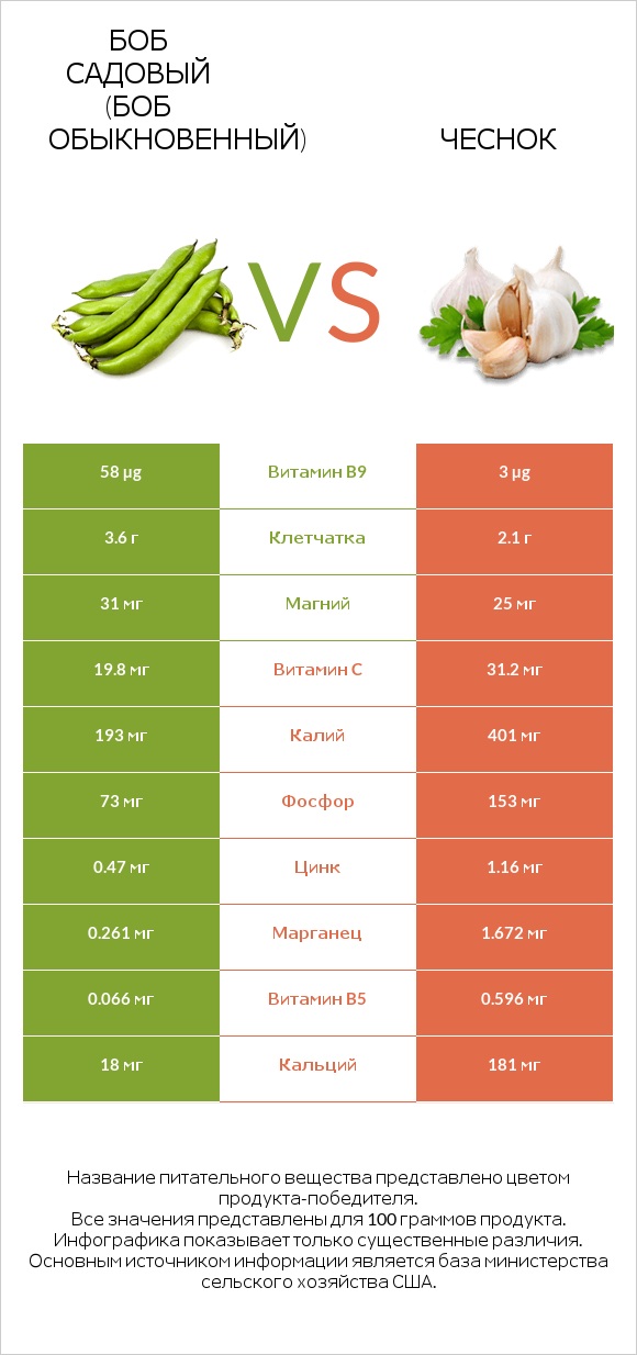 Бобы садовые vs Чеснок infographic