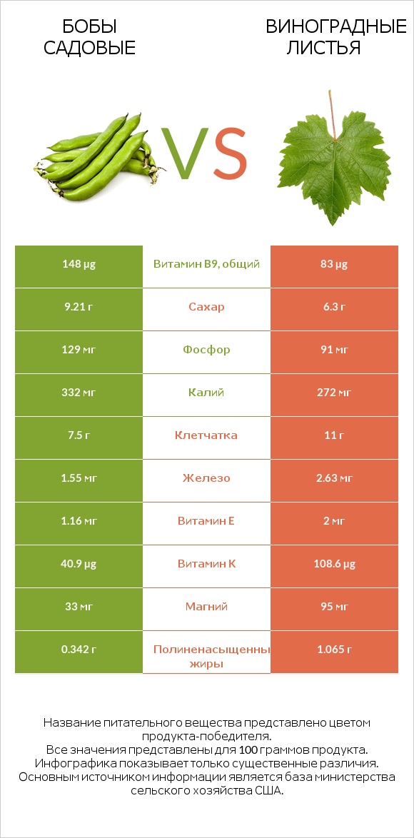 Бобы садовые vs Виноградные листья infographic