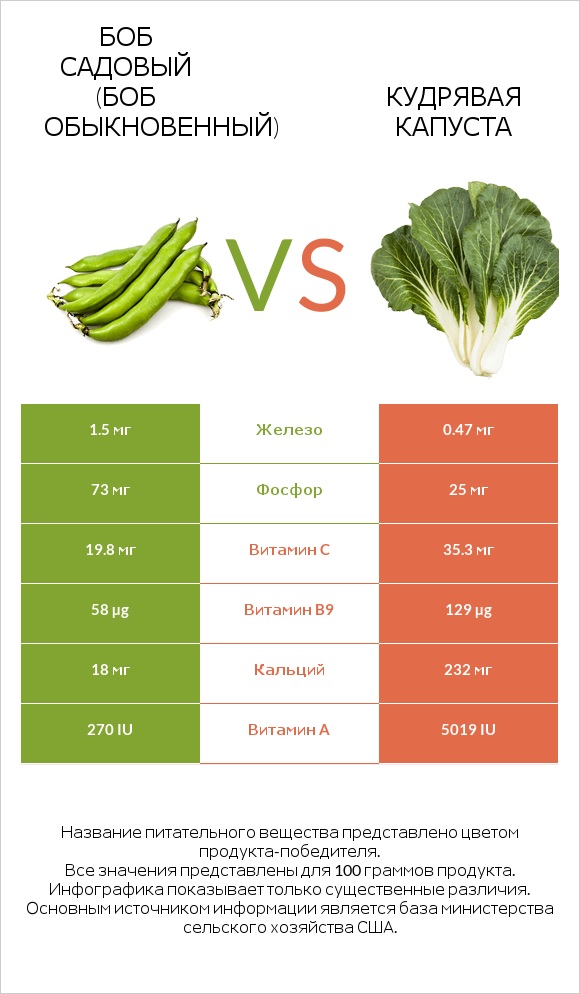 Боб садовый (Боб обыкновенный) vs Кудрявая капуста infographic