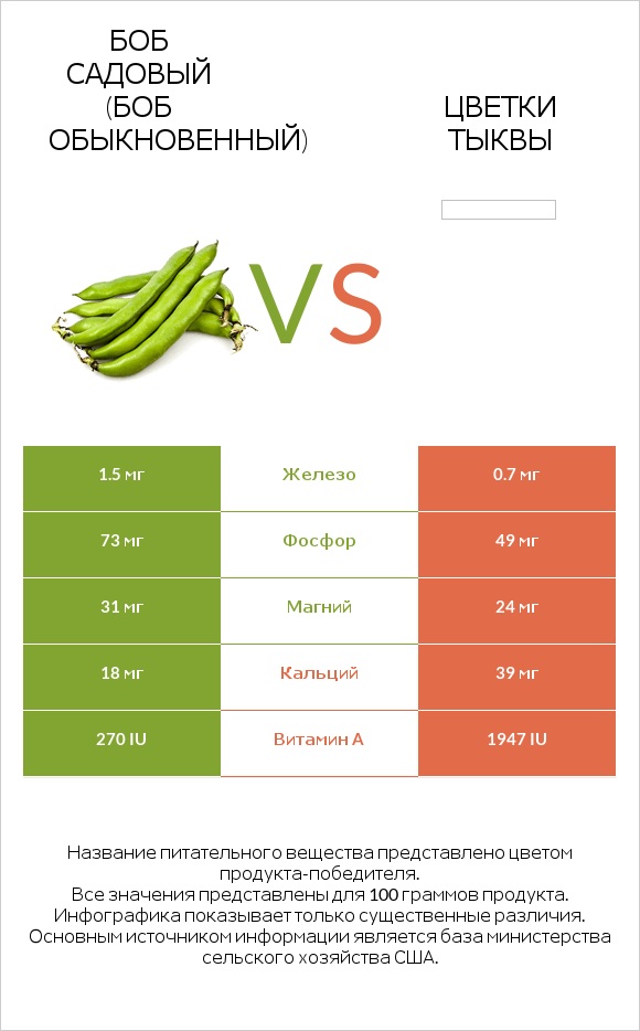 Боб садовый (Боб обыкновенный) vs Цветки тыквы infographic