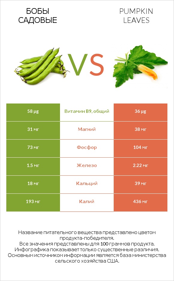 Бобы садовые vs Pumpkin leaves infographic