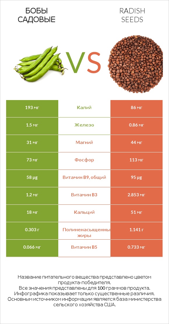 Бобы садовые vs Radish seeds infographic