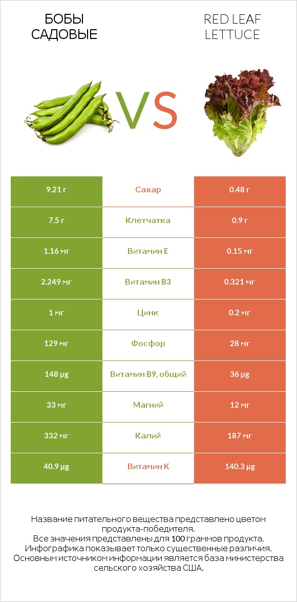 Бобы садовые vs Red leaf lettuce infographic