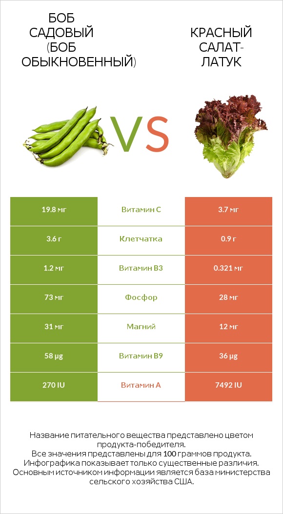 Боб садовый (Боб обыкновенный) vs Красный салат-латук  infographic