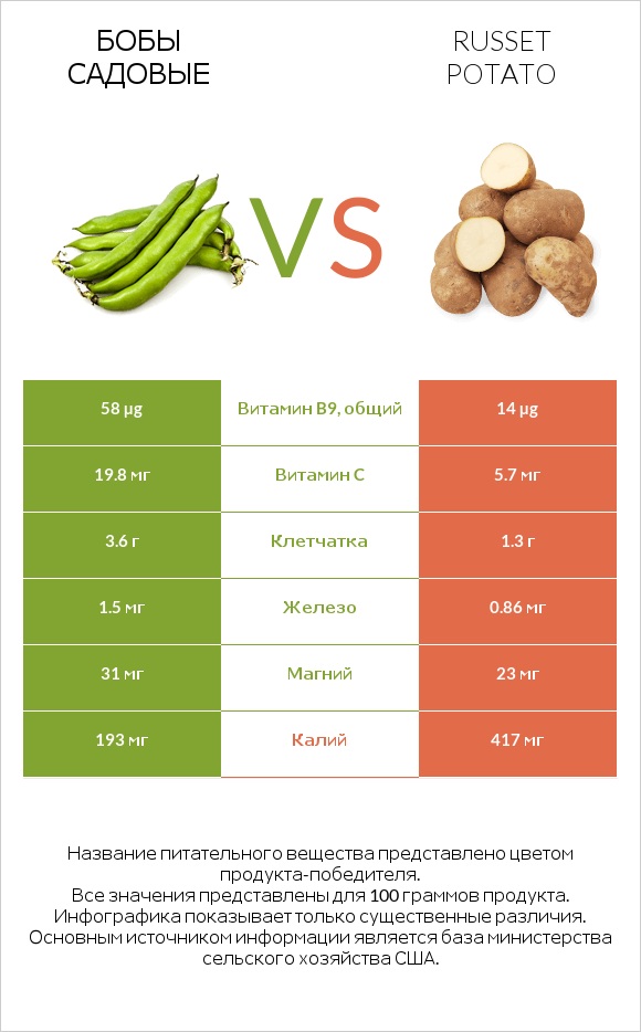 Бобы садовые vs Russet potato infographic