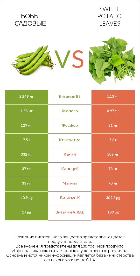 Бобы садовые vs Sweet potato leaves infographic