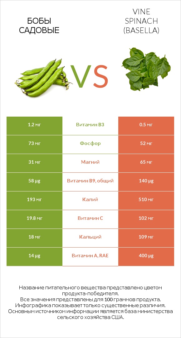 Бобы садовые vs Vine spinach (basella) infographic
