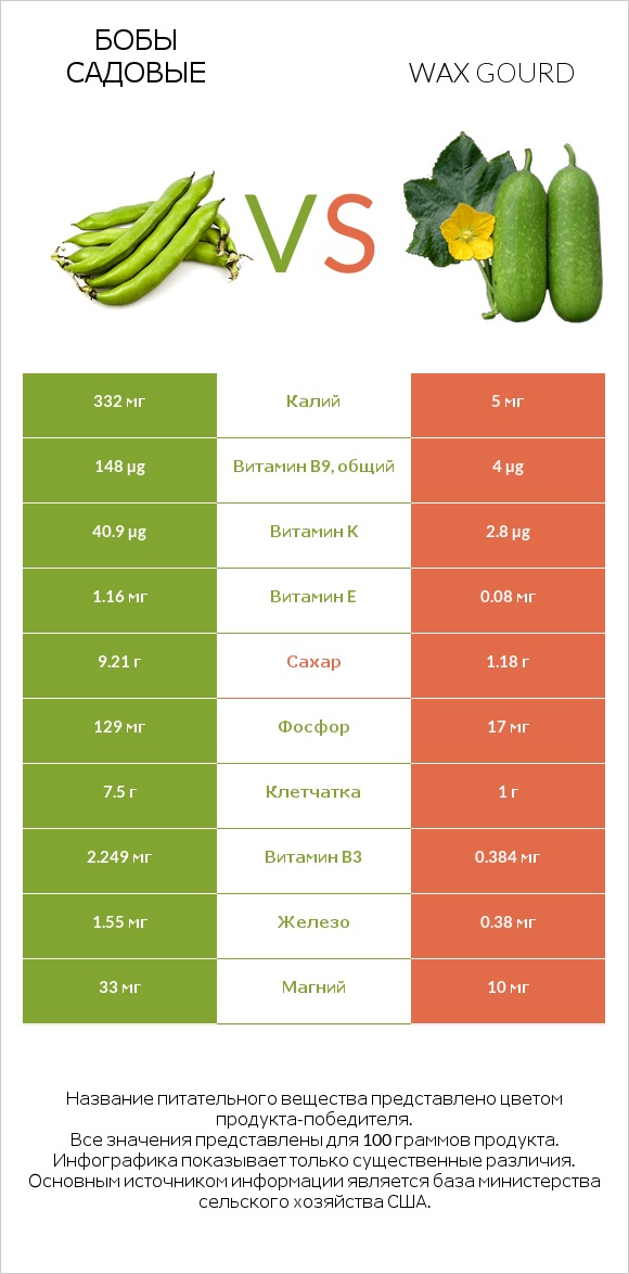 Бобы садовые vs Wax gourd infographic