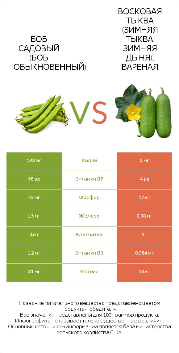 Бобы садовые vs Wax gourd infographic