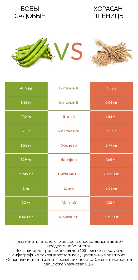 Бобы садовые vs Хорасан пшеницы infographic