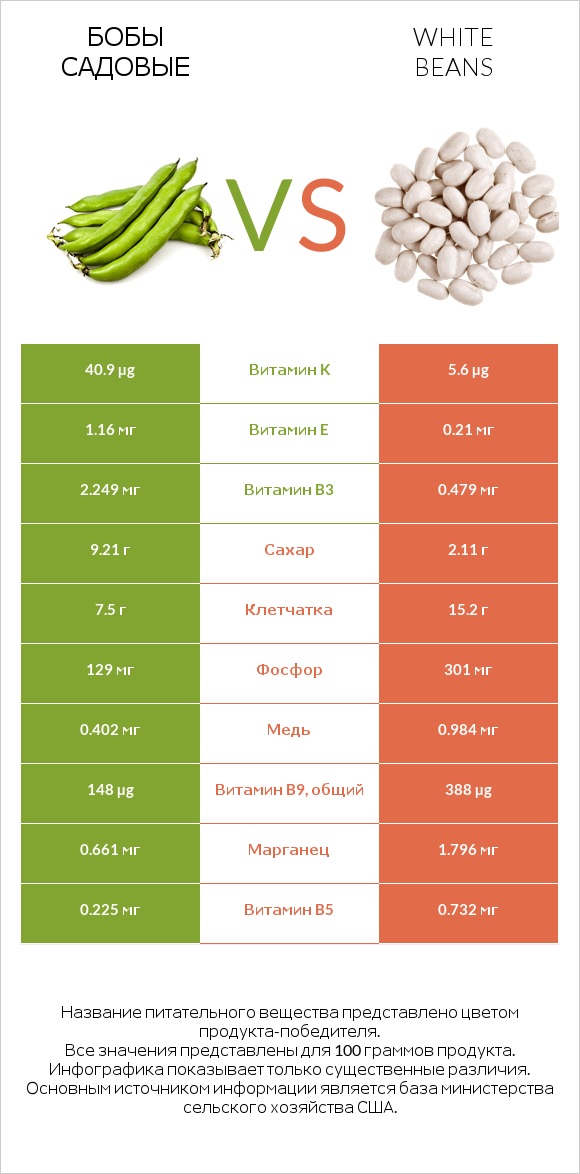 Боб садовый (Боб обыкновенный) vs White beans infographic