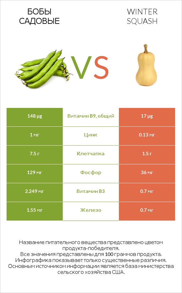 Бобы садовые vs Winter squash infographic