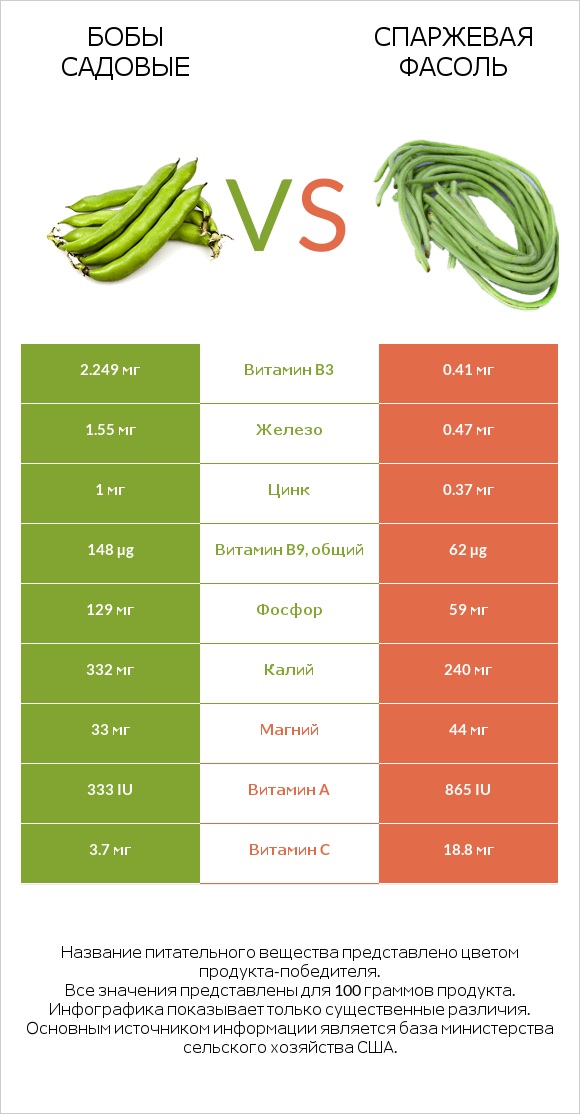 Бобы садовые vs Спаржевая фасоль infographic