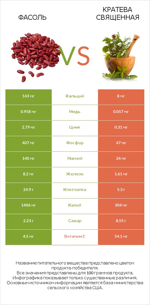 Фасоль vs Кратева священная infographic