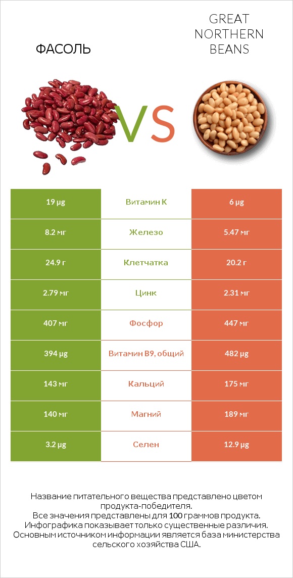 Фасоль vs Great northern beans infographic