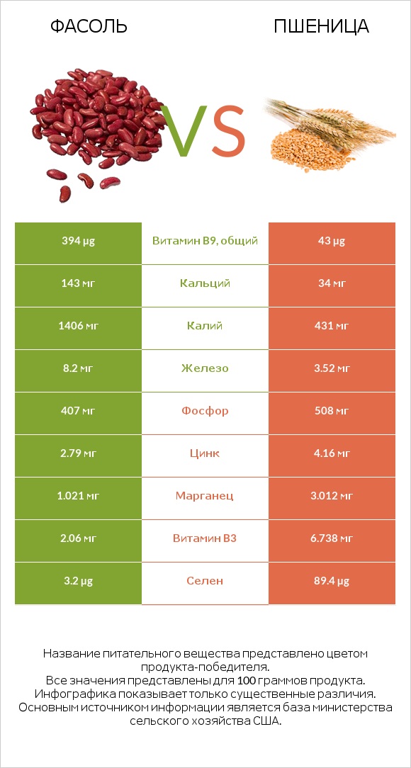 Фасоль vs Пшеница infographic