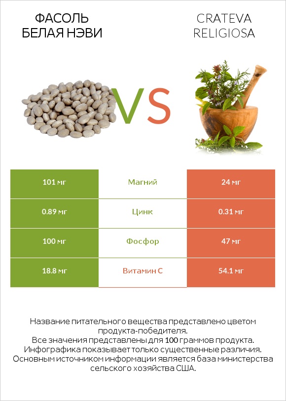 Фасоль белая нэви vs Кратева священная infographic