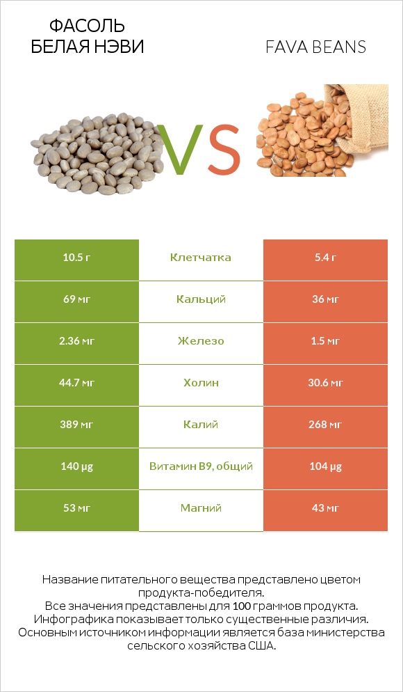 Фасоль белая нэви vs Fava beans infographic