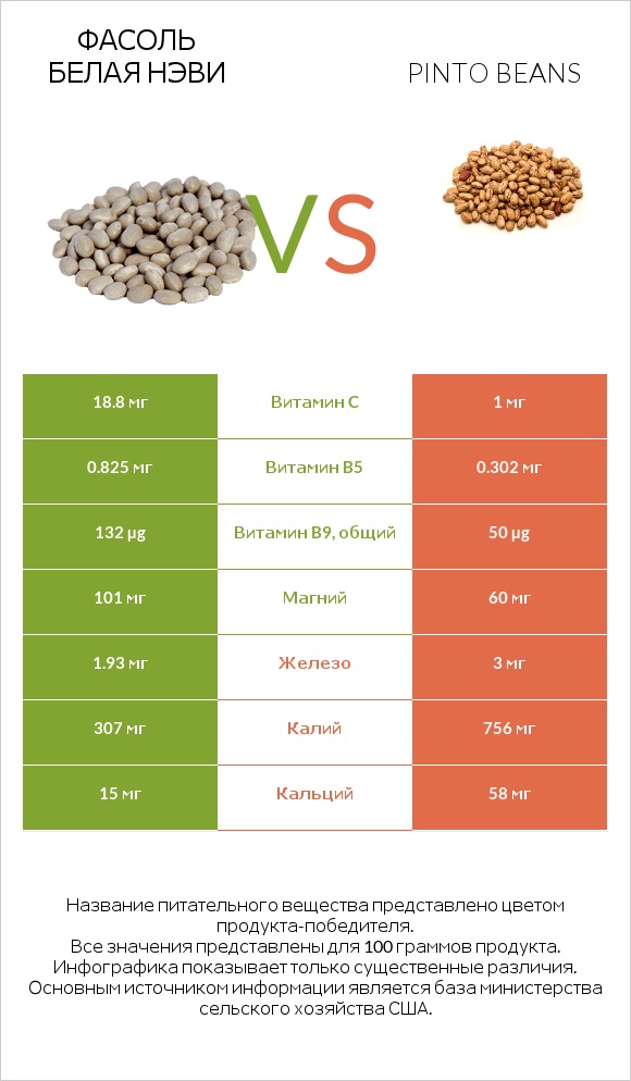 Фасоль белая нэви vs Pinto beans infographic