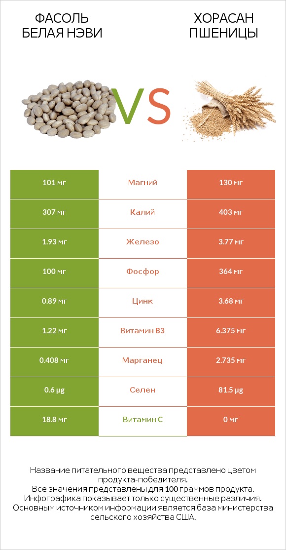 Фасоль белая нэви vs Хорасан пшеницы infographic
