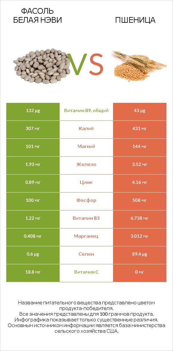 Фасоль белая нэви vs Пшеница infographic