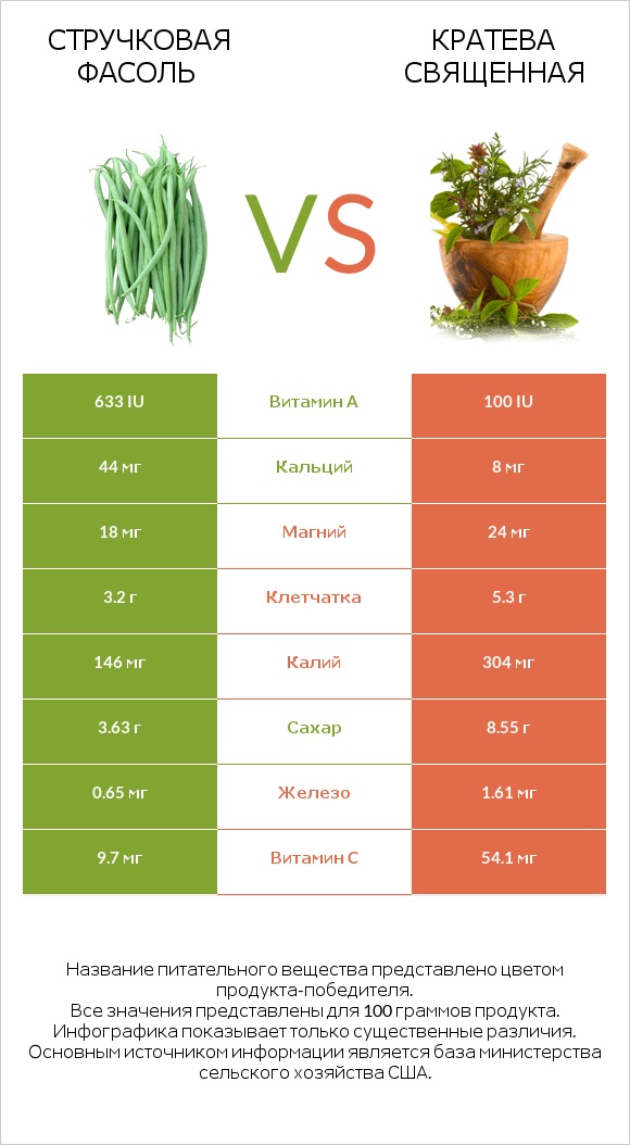 Стручковая фасоль vs Кратева священная infographic