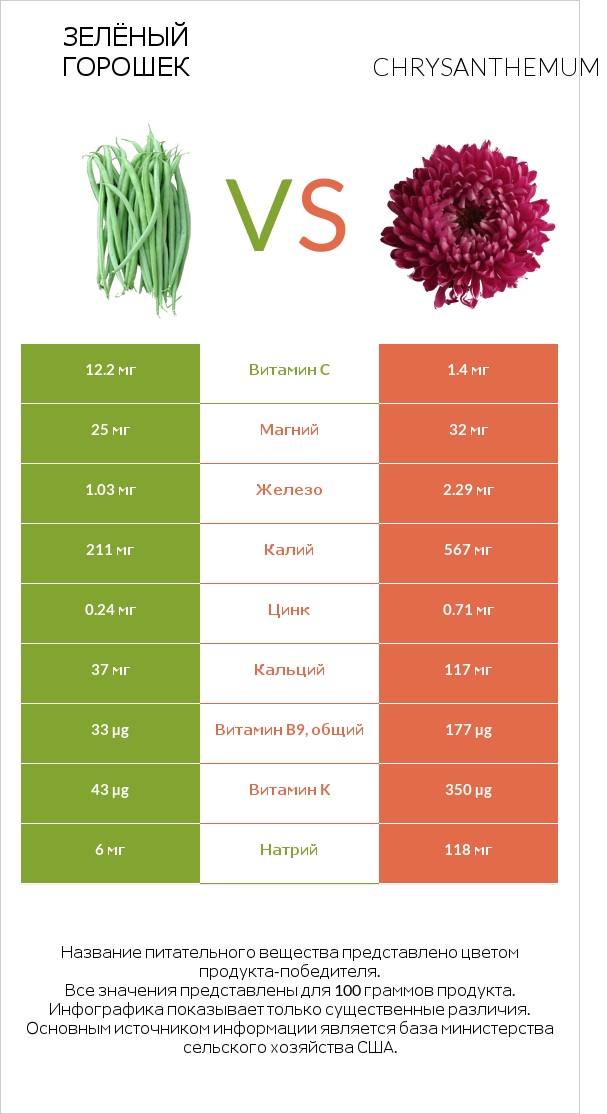Зелёный горошек vs Chrysanthemum infographic